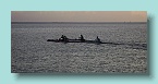 Bora Bora Sunset Paddlers_02